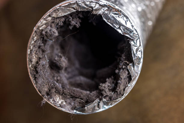 Best Air Vent Cleaning Services  in Dalton, GA